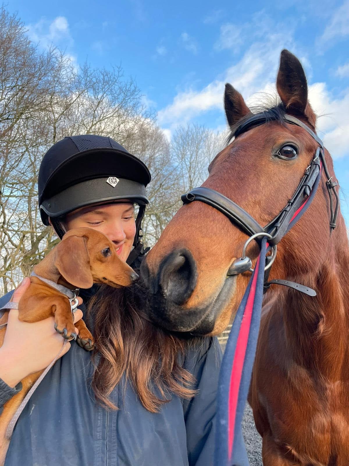 Poppy with Bobby the horse and her dog