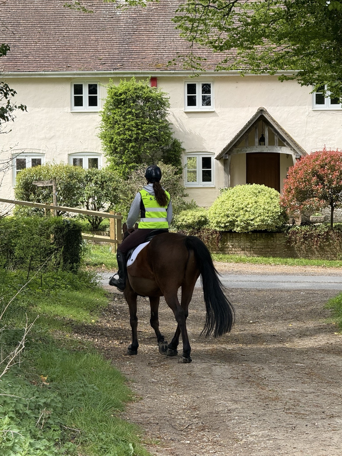 Poppy riding through a village